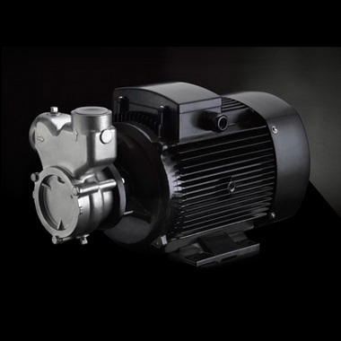 南方泵業(yè)QY(B),QYL(B)不銹鋼自吸氣液混合泵